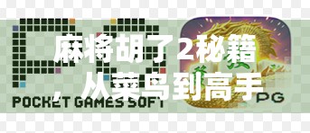 麻将胡了2秘籍，从菜鸟到高手的进阶之路，掌握这5大核心技巧，让你轻松赢牌！